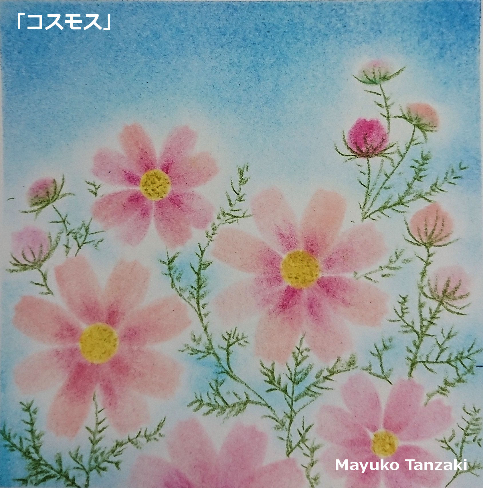 わたなべさとこ　パステル画 わたなべさとこ パステル画