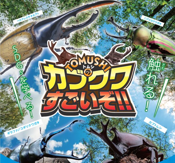 マルシェ催事】『カブクワすごいぞ！！ in 函館』 2024年7/15（月祝